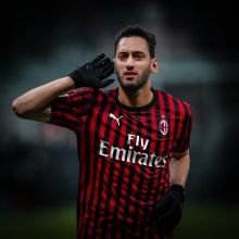 展示了他们 展示了他们