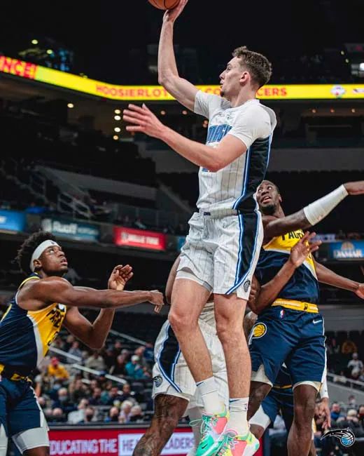 的嘲讽并非 的嘲讽并非