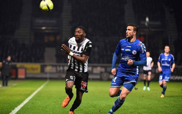 二枚蛙泳金 二枚蛙泳金