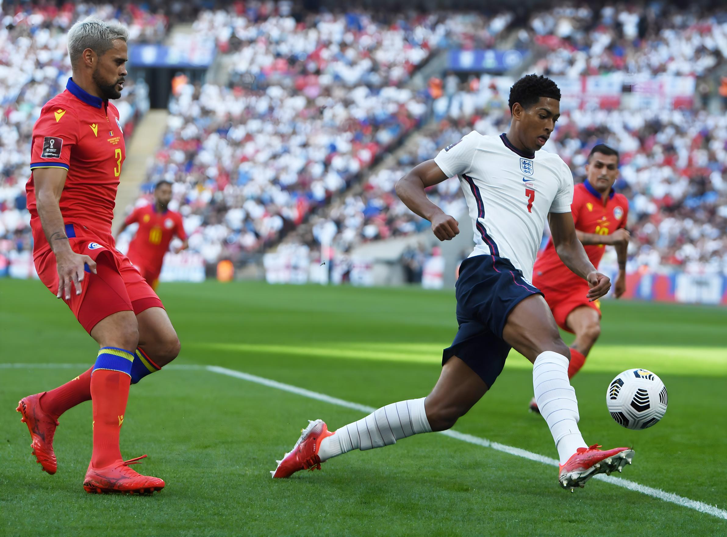 形成了强大 形成了强大